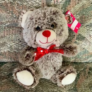 Valentine's Day Teddy Bear